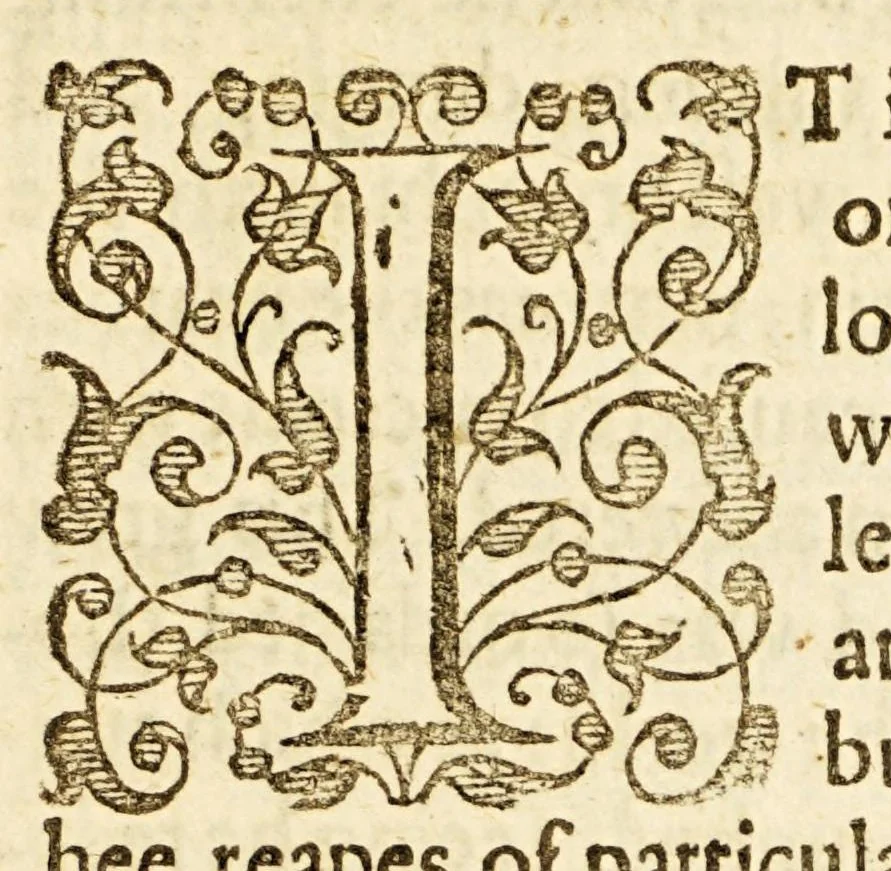 An illustration from Examen de ingenios. = The examination of mens vvits. : In which, by discouering the varietie of natures, is shewed for what profession each one is apt, and how far he shall profit therein., 1616, leaf 33
