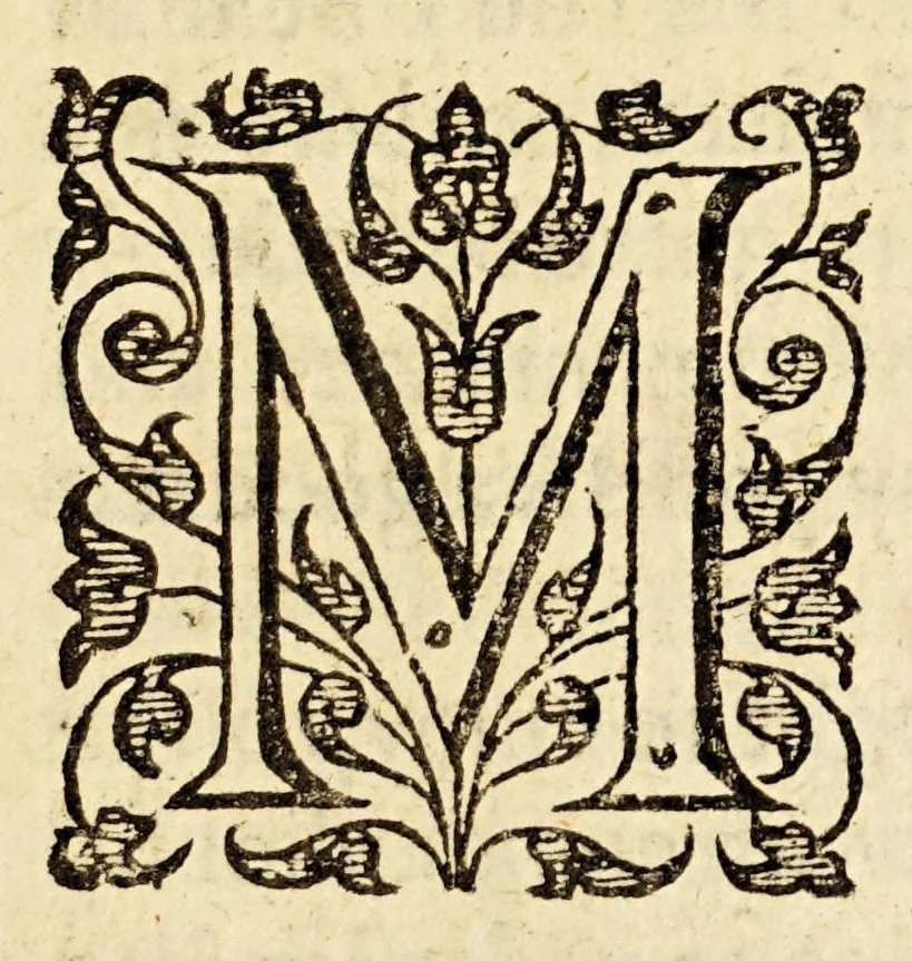 An illustration from Examen de ingenios. = The examination of mens vvits. : In which, by discouering the varietie of natures, is shewed for what profession each one is apt, and how far he shall profit therein., 1616, leaf 43