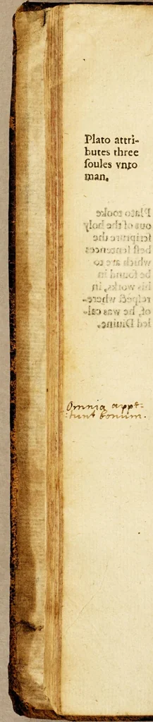 An illustration from Examen de ingenios. = The examination of mens vvits. : In which, by discouering the varietie of natures, is shewed for what profession each one is apt, and how far he shall profit therein., 1616, leaf 60