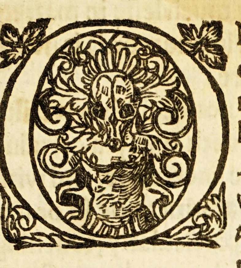 An illustration from Examen de ingenios. = The examination of mens vvits. : In which, by discouering the varietie of natures, is shewed for what profession each one is apt, and how far he shall profit therein., 1616, leaf 89