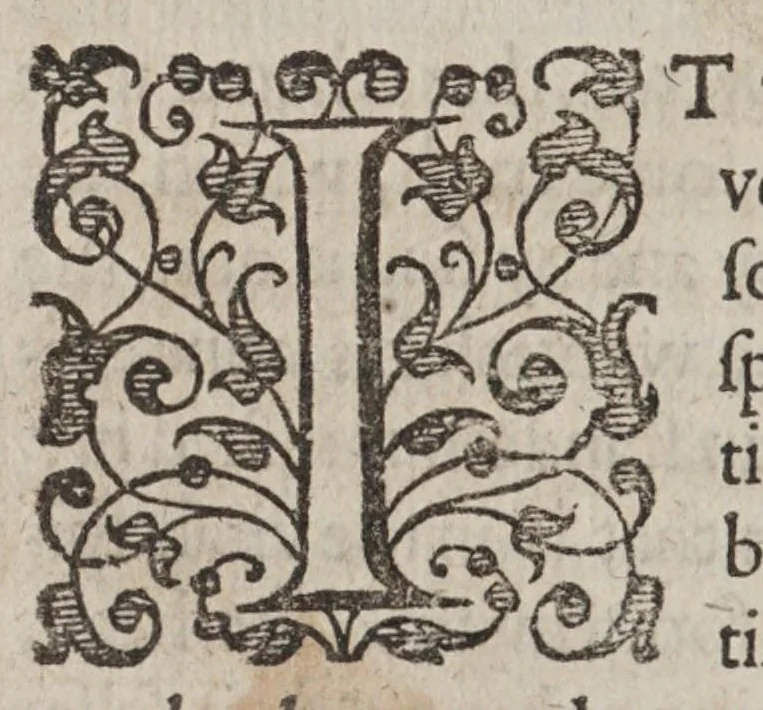 An illustration from Examen de ingenios = The examination of mens wits : in which, by discouering the varietie of natures is shewed for what profession each one is apt, and how far he shall profit therein, 1604, leaf 110