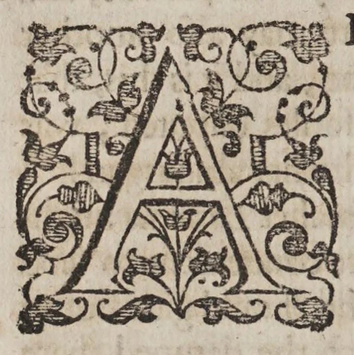 An illustration from Examen de ingenios = The examination of mens wits : in which, by discouering the varietie of natures is shewed for what profession each one is apt, and how far he shall profit therein, 1604, leaf 124