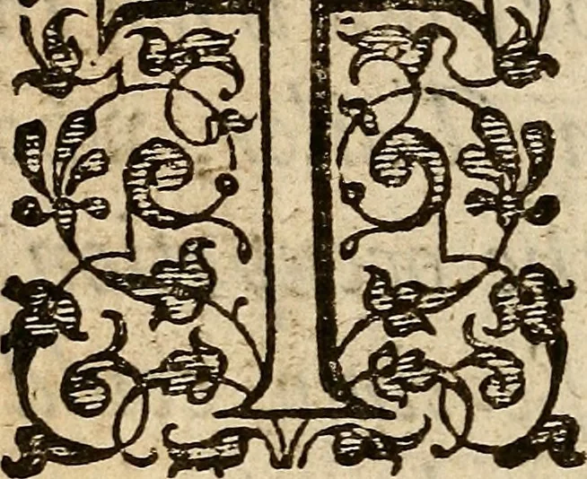 An illustration from Examen de ingenios = The examination of mens wits : in whicch by discouering the varietie of natures, is shewed for what profession each one is apt, and how far he shall profit therein, 1594, leaf 11