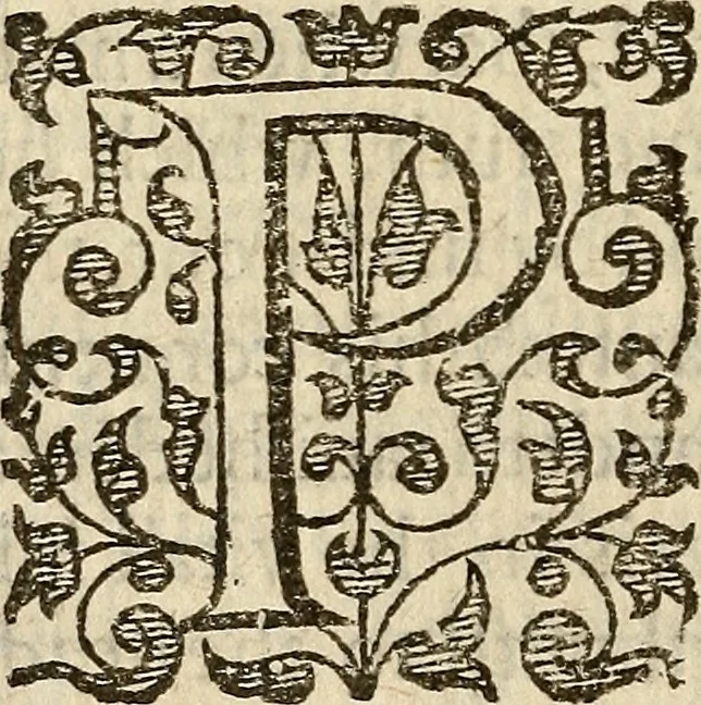 An illustration from Examen de ingenios = The examination of mens wits : in whicch by discouering the varietie of natures, is shewed for what profession each one is apt, and how far he shall profit therein, 1594, leaf 111