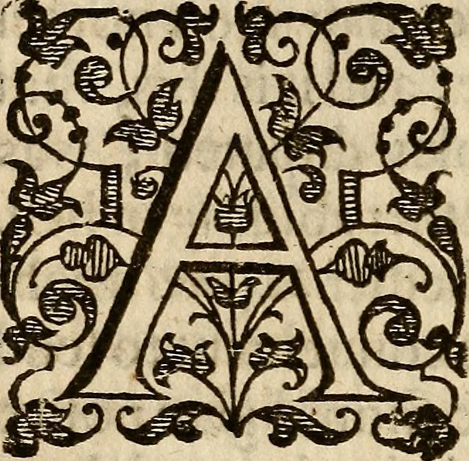An illustration from Examen de ingenios = The examination of mens wits : in whicch by discouering the varietie of natures, is shewed for what profession each one is apt, and how far he shall profit therein, 1594, leaf 125