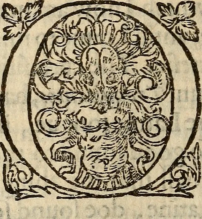An illustration from Examen de ingenios = The examination of mens wits : in whicch by discouering the varietie of natures, is shewed for what profession each one is apt, and how far he shall profit therein, 1594, leaf 143