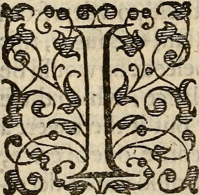 An illustration from Examen de ingenios = The examination of mens wits : in whicch by discouering the varietie of natures, is shewed for what profession each one is apt, and how far he shall profit therein, 1594, leaf 149