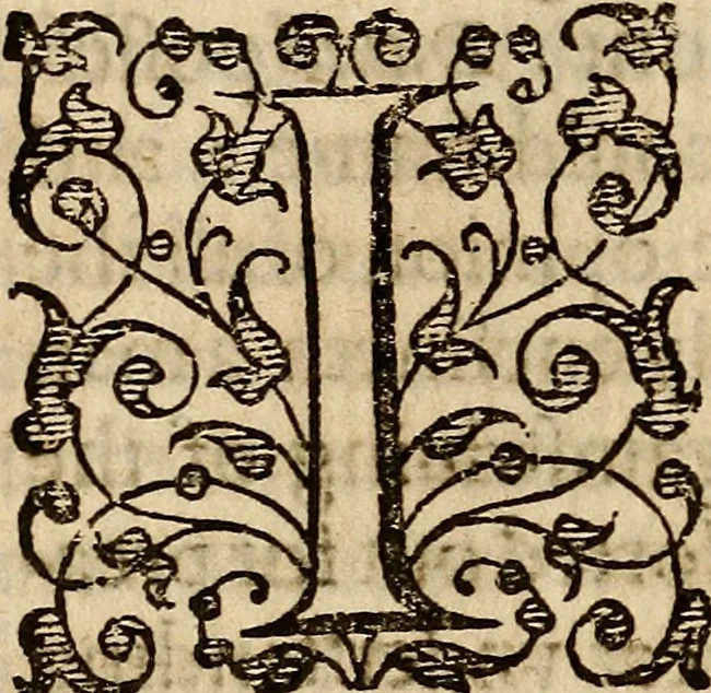 An illustration from Examen de ingenios = The examination of mens wits : in whicch by discouering the varietie of natures, is shewed for what profession each one is apt, and how far he shall profit therein, 1594, leaf 173