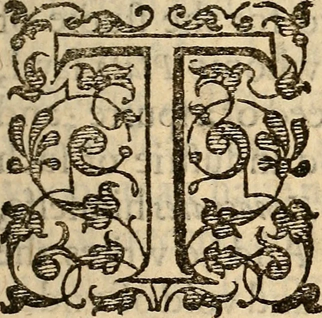 An illustration from Examen de ingenios = The examination of mens wits : in whicch by discouering the varietie of natures, is shewed for what profession each one is apt, and how far he shall profit therein, 1594, leaf 24