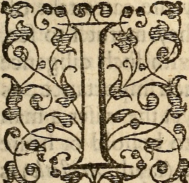 An illustration from Examen de ingenios = The examination of mens wits : in whicch by discouering the varietie of natures, is shewed for what profession each one is apt, and how far he shall profit therein, 1594, leaf 286