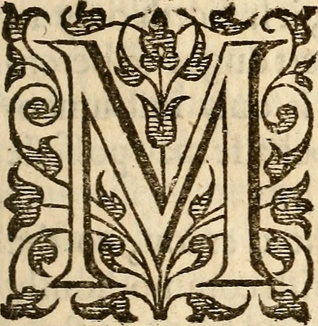 An illustration from Examen de ingenios = The examination of mens wits : in whicch by discouering the varietie of natures, is shewed for what profession each one is apt, and how far he shall profit therein, 1594, leaf 46