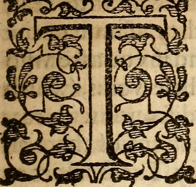 An illustration from Examen de ingenios = The examination of mens wits : in whicch by discouering the varietie of natures, is shewed for what profession each one is apt, and how far he shall profit therein, 1594, leaf 56
