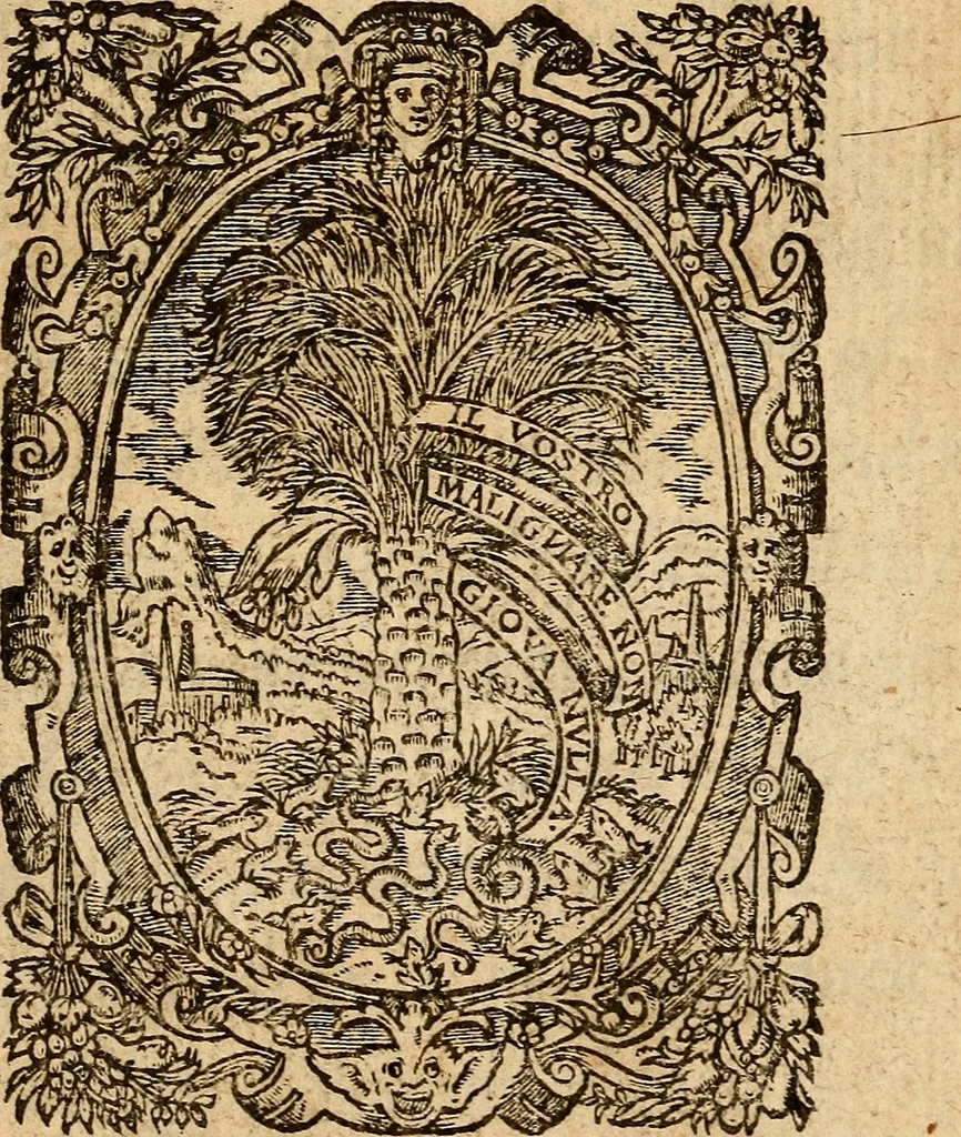 An illustration from Examen de ingenios = The examination of mens wits : in whicch by discouering the varietie of natures, is shewed for what profession each one is apt, and how far he shall profit therein, 1594, leaf 8
