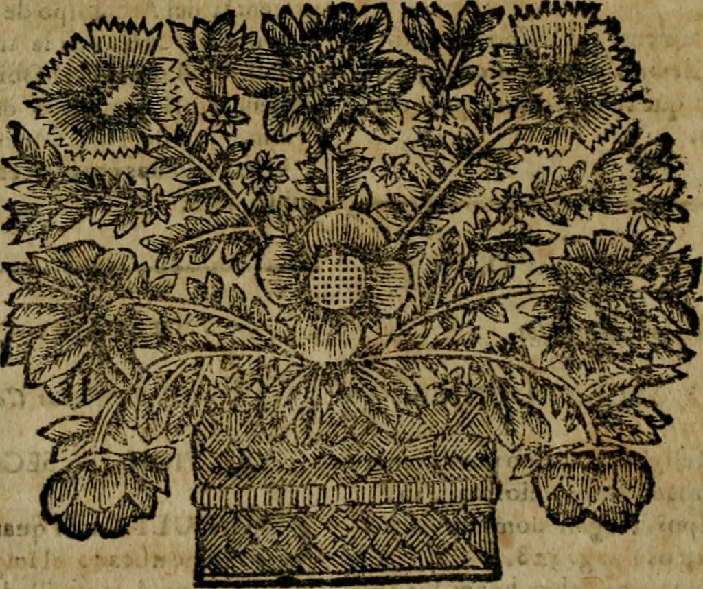 An illustration from Examen de la potestad, y jvrisdicion de los señores obispos, assi en comun, como de los obispos regvlares, y titvlares ... 2. impression, nuevamente corregido, y añadido ... y con un indice, 1693, leaf 25