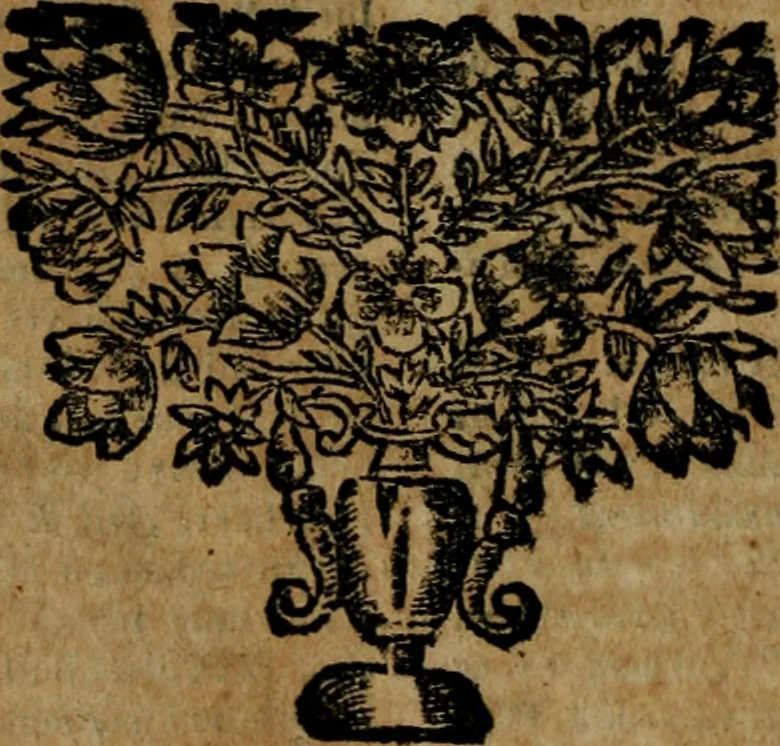 An illustration from Examen de la potestad, y jvrisdicion de los señores obispos, assi en comun, como de los obispos regvlares, y titvlares ... 2. impression, nuevamente corregido, y añadido ... y con un indice, 1693, leaf 447
