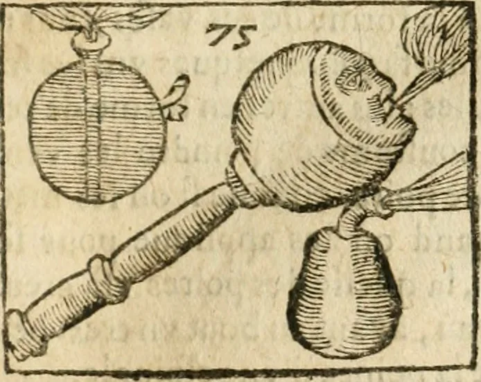 An illustration from Examen dv livre des Recreations mathematiqves, & de ses problemes en geometrie mechanique, optique & catoptrique [du J. Leurechon] Où sont aussi discutées & restabiles plusieurs experiences physiques y proposées, 1639, leaf 182