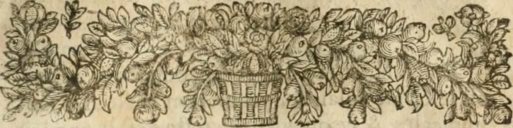 An illustration from Examen dv livre des Recreations mathematiqves, & de ses problemes en geometrie mechanique, optique & catoptrique [du J. Leurechon] Où sont aussi discutées & restabiles plusieurs experiences physiques y proposées, 1639, leaf 338
