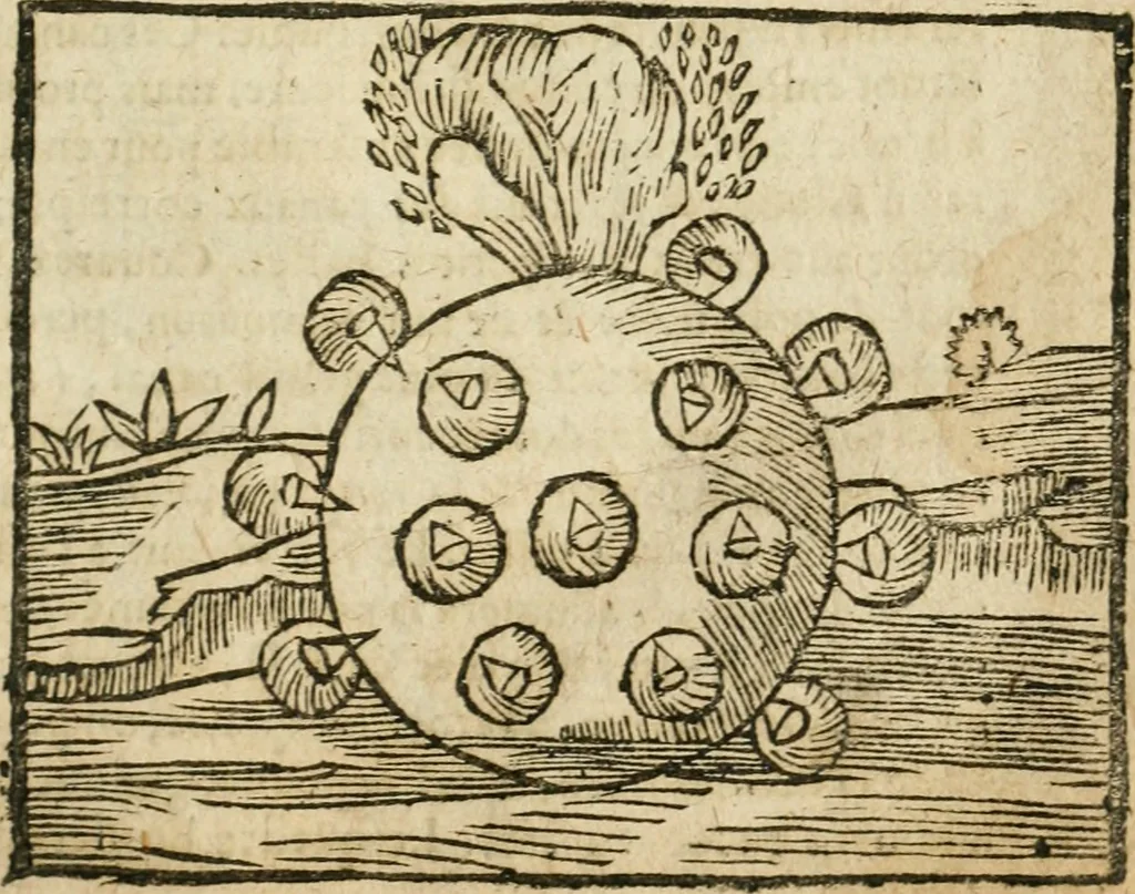An illustration from Examen dv livre des Recreations mathematiqves, & de ses problemes en geometrie mechanique, optique & catoptrique [du J. Leurechon] Où sont aussi discutées & restabiles plusieurs experiences physiques y proposées, 1639, leaf 436
