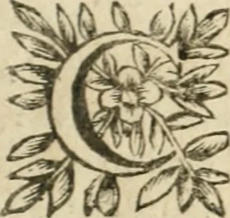 An illustration from Examen dv livre des Recreations mathematiqves, & de ses problemes en geometrie mechanique, optique & catoptrique [du J. Leurechon] Où sont aussi discutées & restabiles plusieurs experiences physiques y proposées, 1639, leaf 8