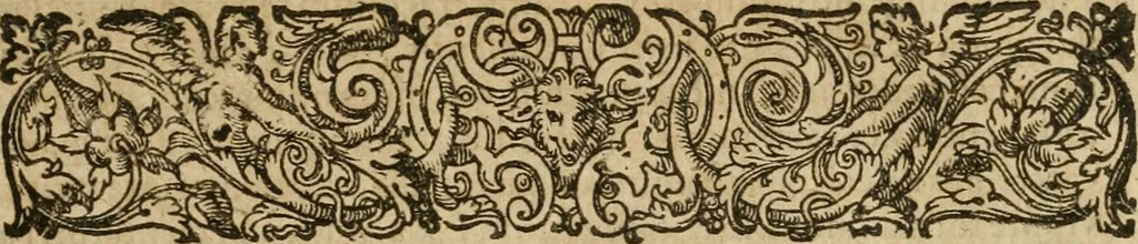 An illustration from Examen fvcorvm psevdo-chymicorvm detectorvm et in gratiam veritatis amantium succincte refutatorum, 1617, leaf 10