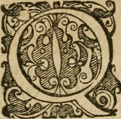 An illustration from Examen fvcorvm psevdo-chymicorvm detectorvm et in gratiam veritatis amantium succincte refutatorum, 1617, leaf 10