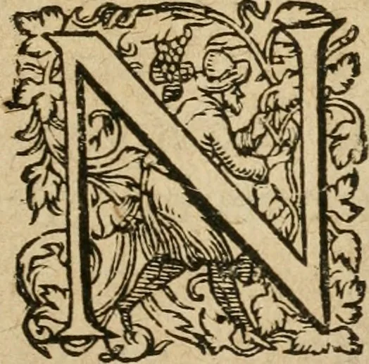 An illustration from Examen fvcorvm psevdo-chymicorvm detectorvm et in gratiam veritatis amantium succincte refutatorum, 1617, leaf 4