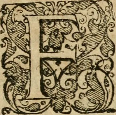 An illustration from Examen fvcorvm psevdo-chymicorvm detectorvm et in gratiam veritatis amantium succincte refutatorum, 1617, leaf 8