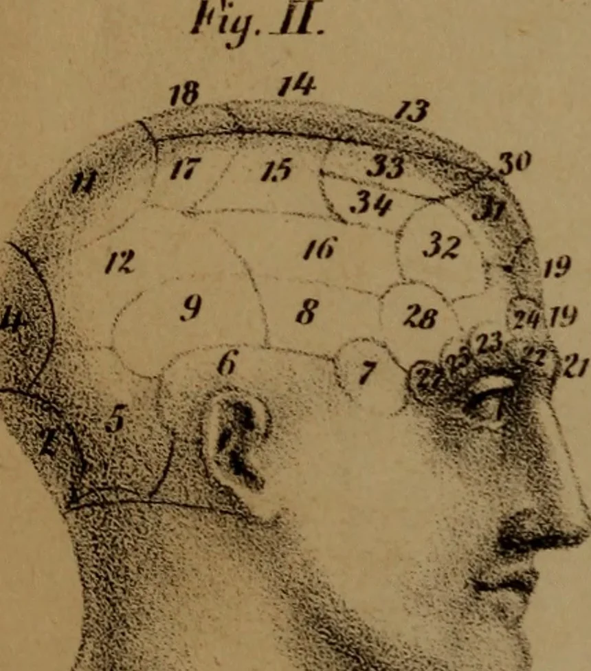 An illustration from An examination of phrenology;, 1837, leaf 9