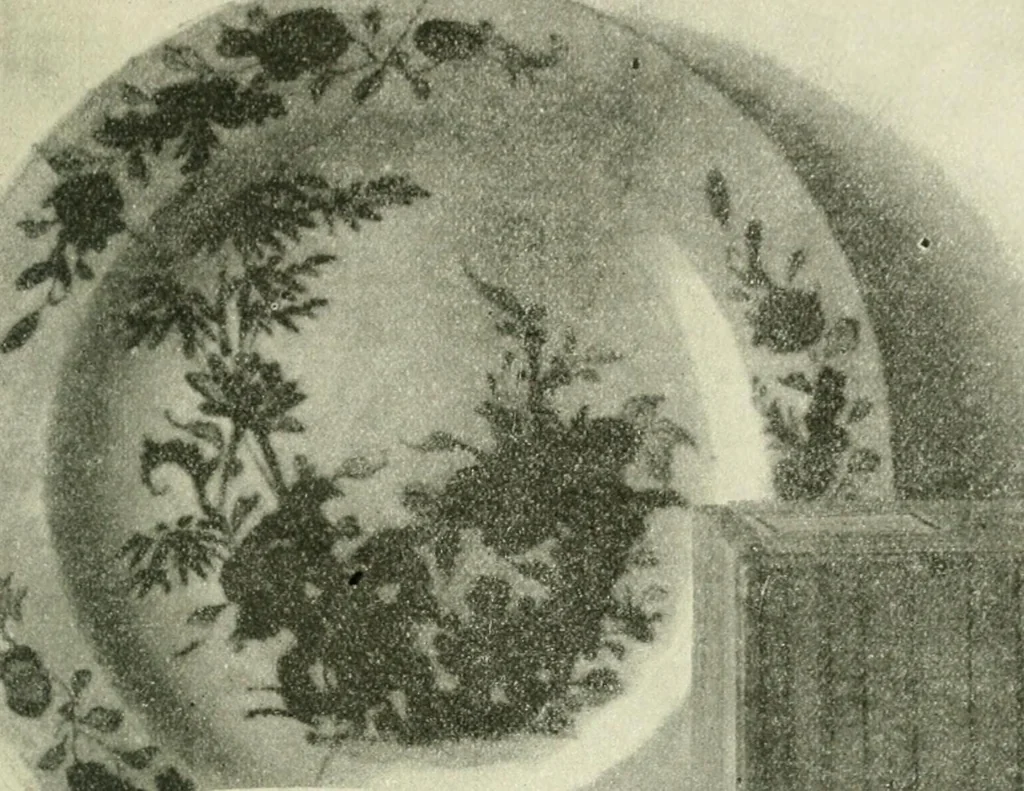 An illustration from Examination questions in biology, botany, chemistry, drawing, geography, physics, zoölogy, 1920, leaf 65