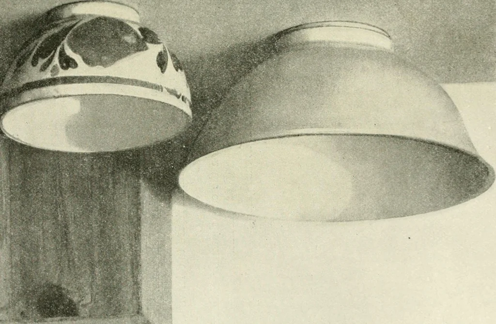 An illustration from Examination questions in biology, botany, chemistry, drawing, geography, physics, zoölogy, 1920, leaf 68
