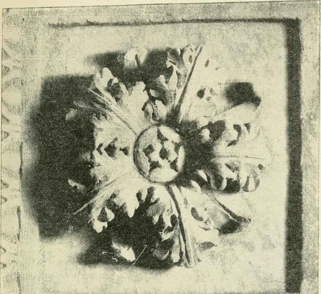An illustration from Examination questions in biology, botany, chemistry, drawing, geography, physics, zoölogy, 1920, leaf 69