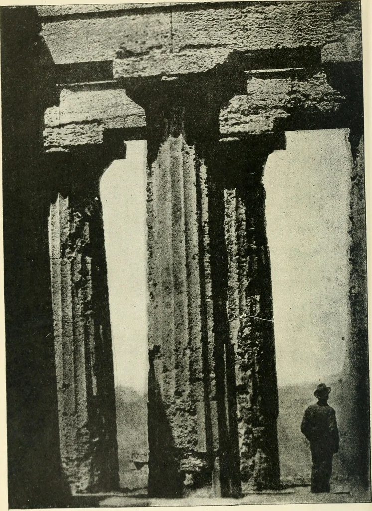 An illustration from Examination questions in biology, botany, chemistry, drawing, geography, physics, zoölogy, 1920, leaf 74