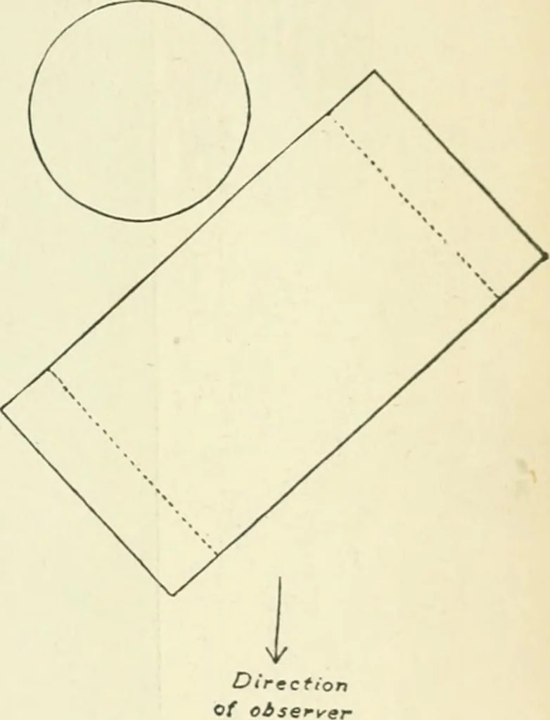 An illustration from Examination questions in biology, botany, chemistry, drawing, geography, physics, zoölogy, 1920, leaf 75