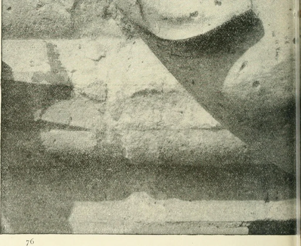 An illustration from Examination questions in biology, botany, chemistry, drawing, geography, physics, zoölogy, 1920, leaf 76