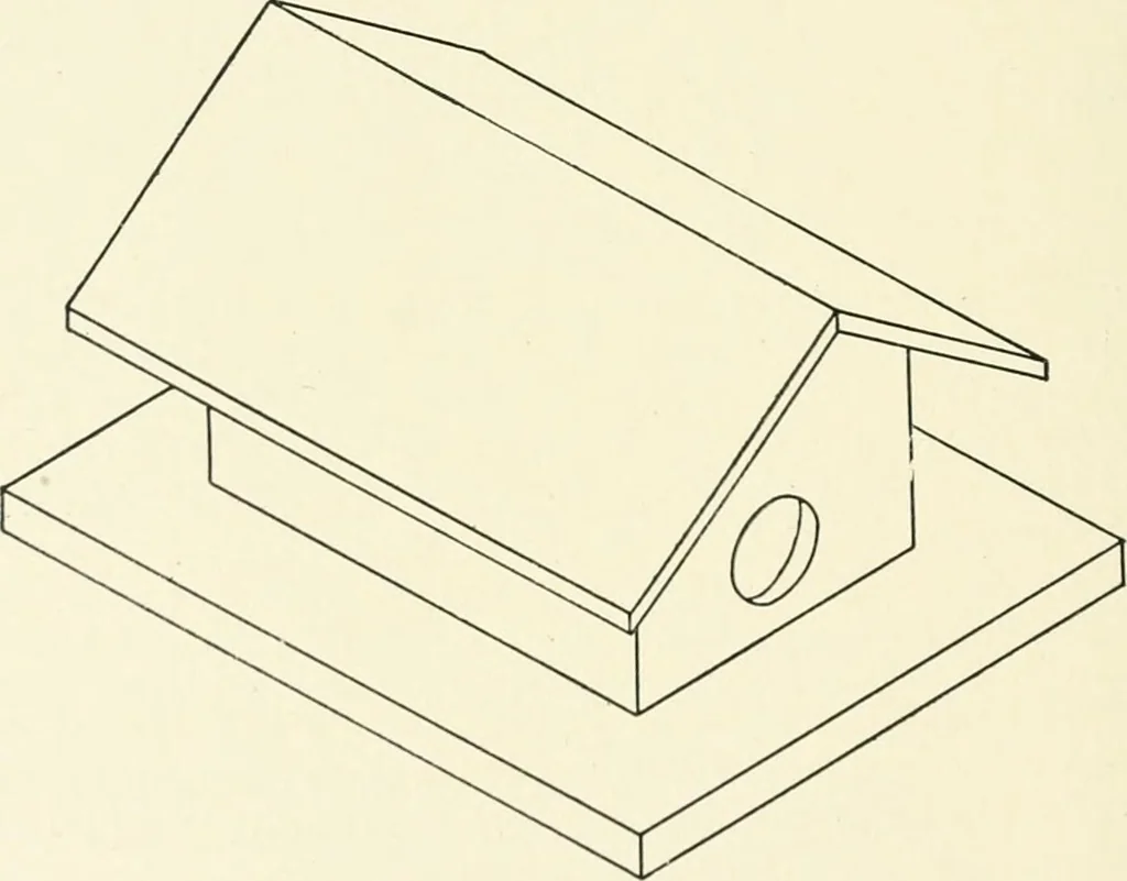 An illustration from Examination questions in biology, botany, chemistry, drawing, geography, physics, zoölogy, 1920, leaf 82