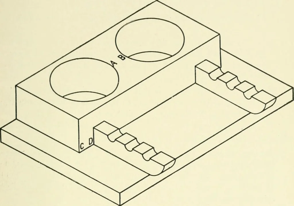 An illustration from Examination questions in biology, botany, chemistry, drawing, geography, physics, zoölogy, 1920, leaf 89