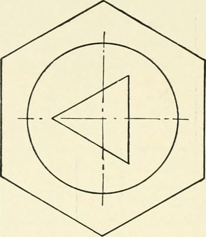 An illustration from Examination questions in biology, botany, chemistry, drawing, geography, physics, zoölogy, 1920, leaf 92