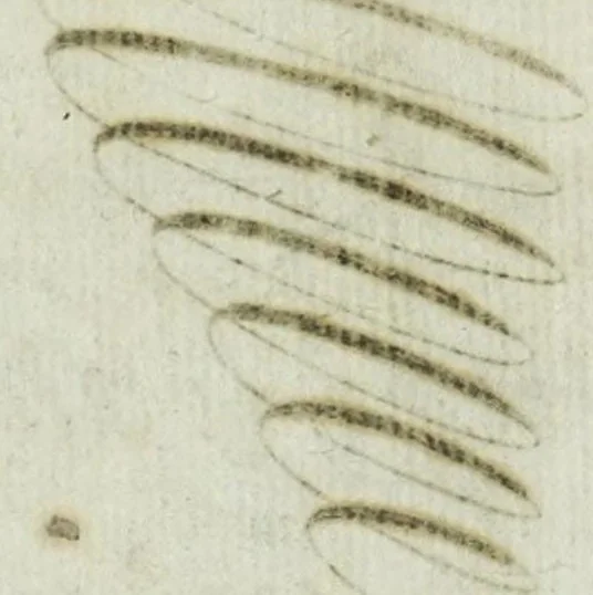 An illustration from [Examples of the chancery hand, engraved], 1598, leaf 8