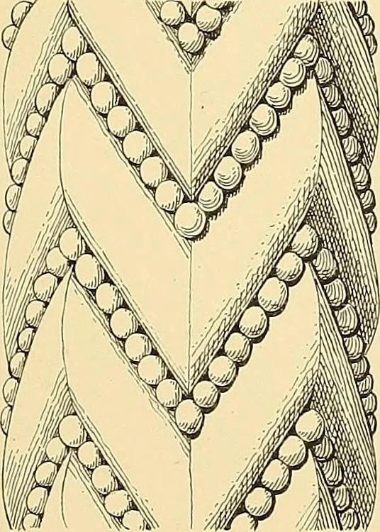 An illustration from Examples of English medieval foliage and coloured decoration, taken from buildings of the twelfth to the fifteenth century: with descriptive letterpress, 1874, leaf 107