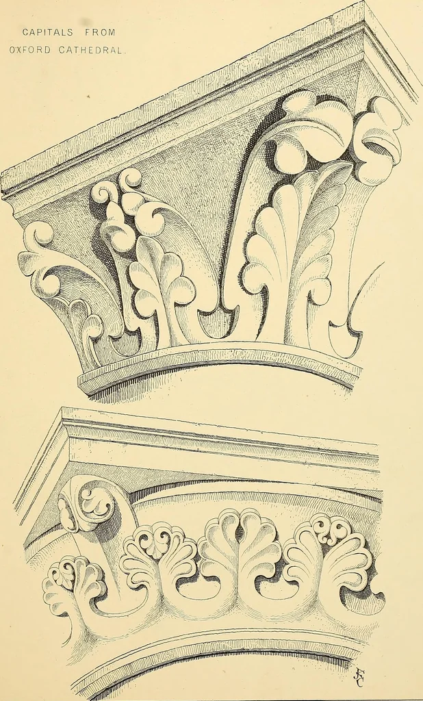 An illustration from Examples of English medieval foliage and coloured decoration, taken from buildings of the twelfth to the fifteenth century: with descriptive letterpress, 1874, leaf 113