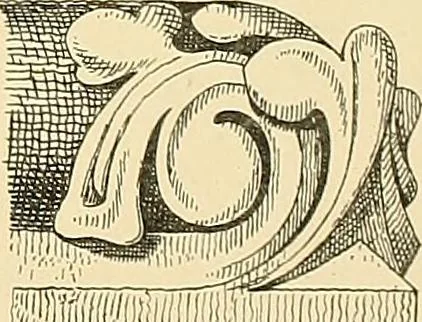 An illustration from Examples of English medieval foliage and coloured decoration, taken from buildings of the twelfth to the fifteenth century: with descriptive letterpress, 1874, leaf 145