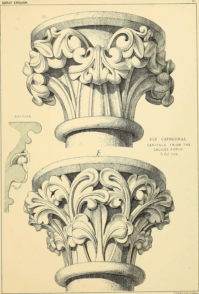 An illustration from Examples of English medieval foliage and coloured decoration, taken from buildings of the twelfth to the fifteenth century: with descriptive letterpress, 1874, leaf 151