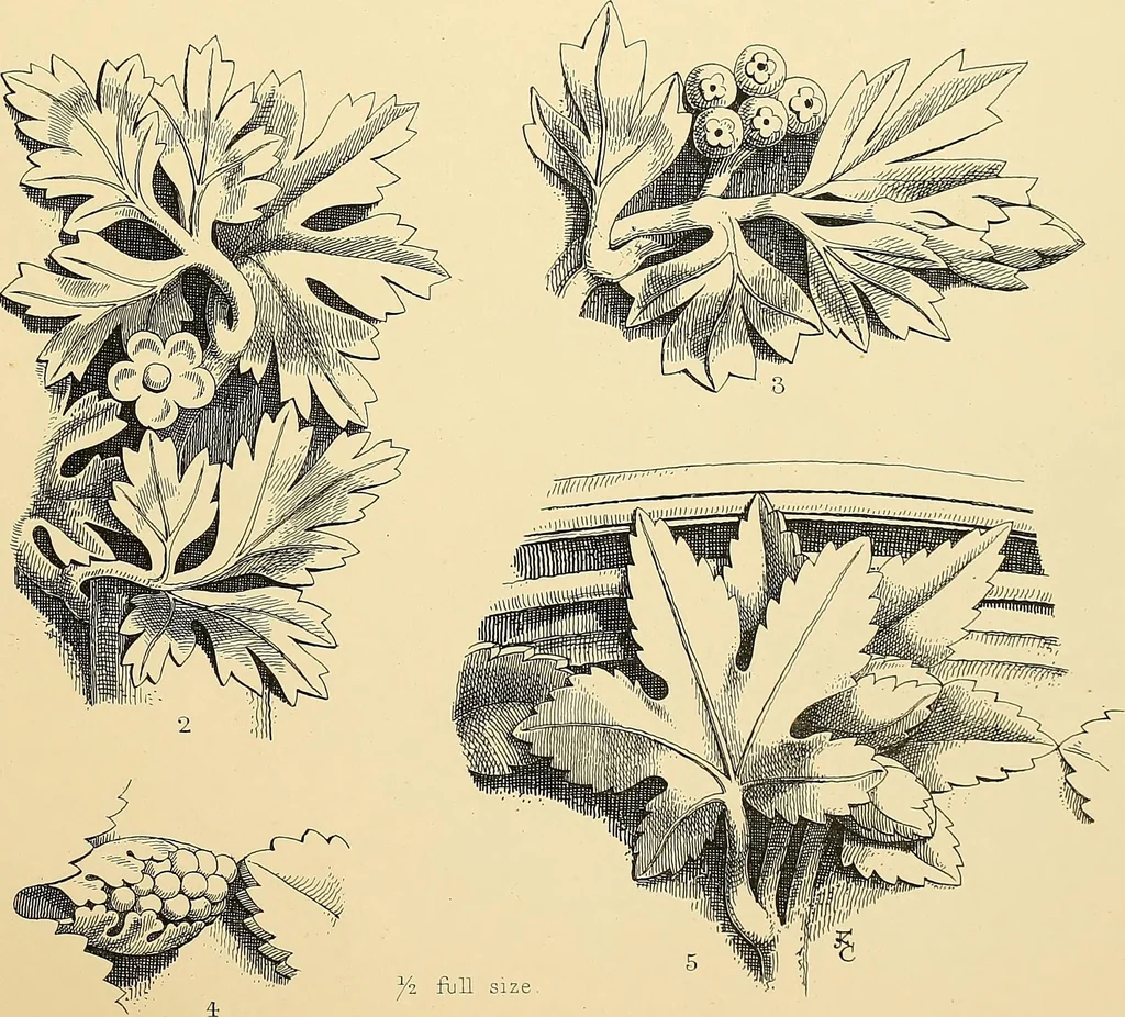 An illustration from Examples of English medieval foliage and coloured decoration, taken from buildings of the twelfth to the fifteenth century: with descriptive letterpress, 1874, leaf 185