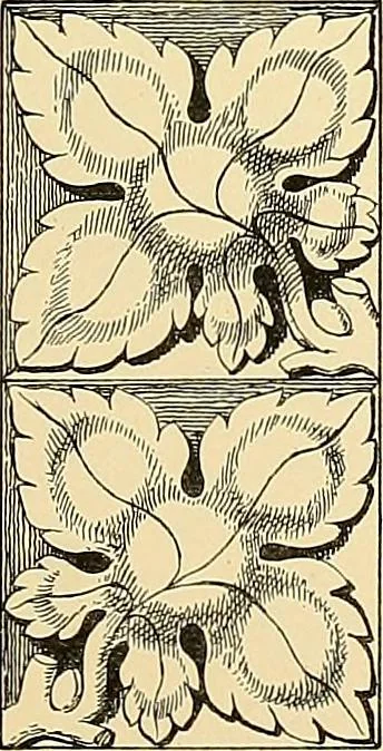 An illustration from Examples of English medieval foliage and coloured decoration, taken from buildings of the twelfth to the fifteenth century: with descriptive letterpress, 1874, leaf 207