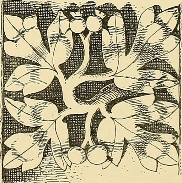 An illustration from Examples of English medieval foliage and coloured decoration, taken from buildings of the twelfth to the fifteenth century: with descriptive letterpress, 1874, leaf 209