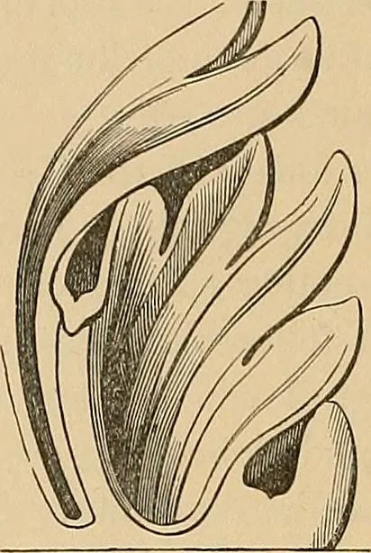 An illustration from Examples of English medieval foliage and coloured decoration, taken from buildings of the twelfth to the fifteenth century: with descriptive letterpress, 1874, leaf 26