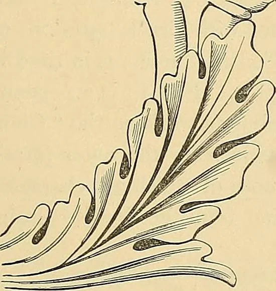 An illustration from Examples of English medieval foliage and coloured decoration, taken from buildings of the twelfth to the fifteenth century: with descriptive letterpress, 1874, leaf 27