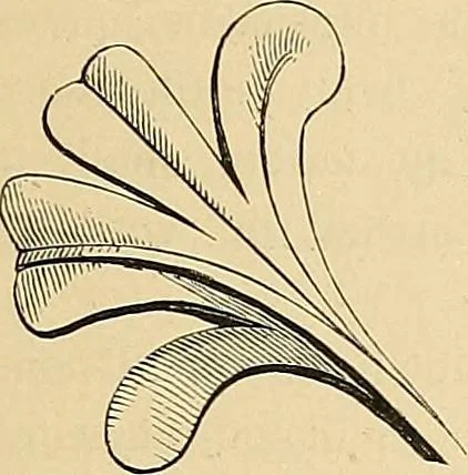 An illustration from Examples of English medieval foliage and coloured decoration, taken from buildings of the twelfth to the fifteenth century: with descriptive letterpress, 1874, leaf 51