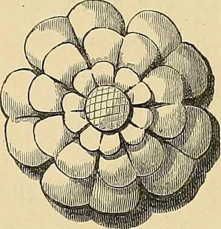 An illustration from Examples of English medieval foliage and coloured decoration, taken from buildings of the twelfth to the fifteenth century: with descriptive letterpress, 1874, leaf 61
