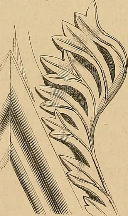 An illustration from Examples of English medieval foliage and coloured decoration, taken from buildings of the twelfth to the fifteenth century: with descriptive letterpress, 1874, leaf 66